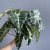 Black Peacock Philodendron Leaf - Artificial Green Plant Floral Arrangement for Home Decoration and Landscaping
