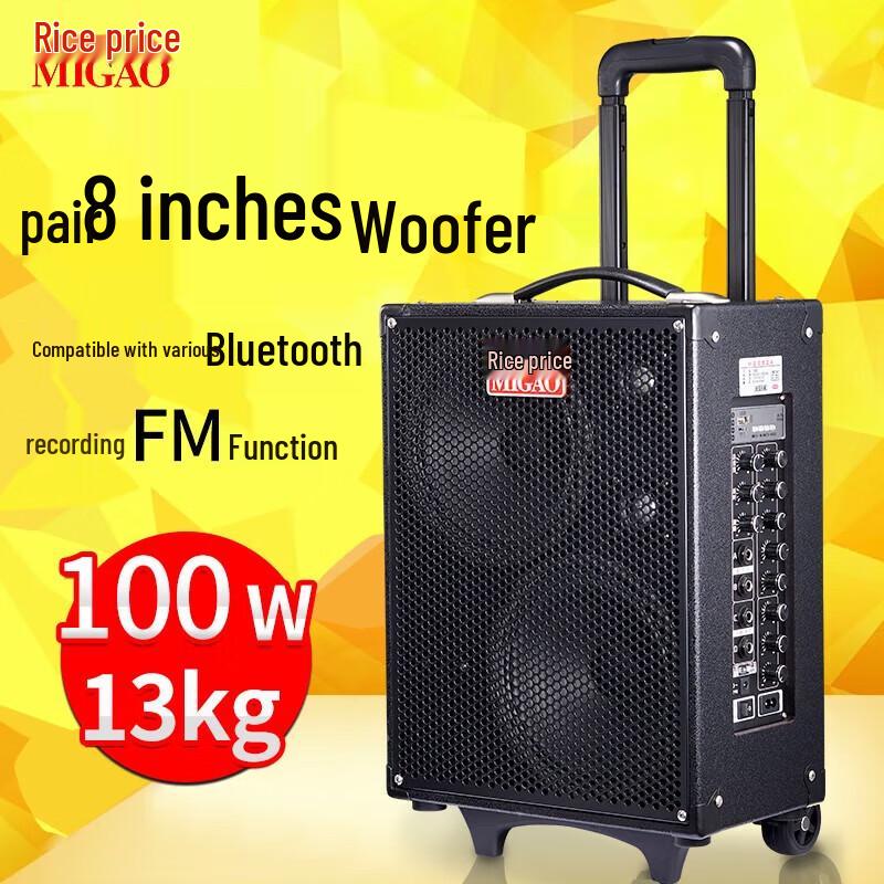 Mige MG882A Portable Acoustic Guitar Speaker