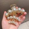 Half-Up Hair Metal Small Side Hair Clip Imitation Pearl Texture Elegant Back of the Head Shark Clip Hair Accessory