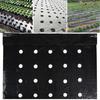 Pre-Punched Holes Perforated Plastic Mulch Film Breathable Soil Moisture Retention Mulching Membrane UV Stabilized