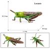Oenux Simulation Dragonfly Grasshopper Centipede Wild Insect Animals Model Action Figures Miniature Education Collection Kid Toy