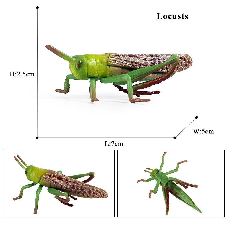 Oenux Simulation Dragonfly Grasshopper Centipede Wild Insect Animals Model Action Figures Miniature Education Collection Kid Toy
