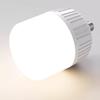 LED Emergency Light Bulb