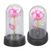 Colorful Light Up Rose in Glass Dome Birthday Gifts Ambient Lighting Light Up Artificial Flower Rose for Anniversary