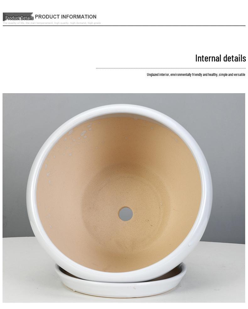 White Ceramic Orchid Pot, Large Elegant Design for Living Room