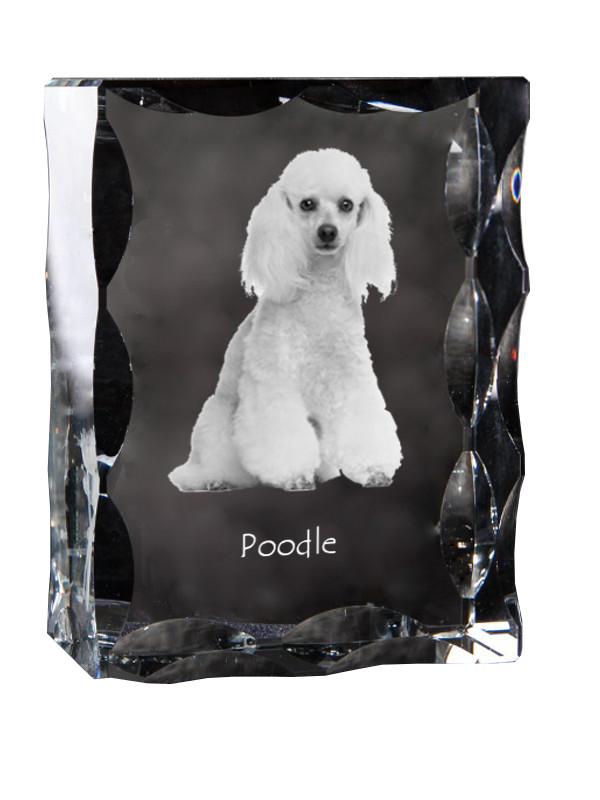 Poodle - Crystal with a Picture of a Dog, Glass Statuette with a Picture, Unique Frame with a Picture from Art-Dog Brand