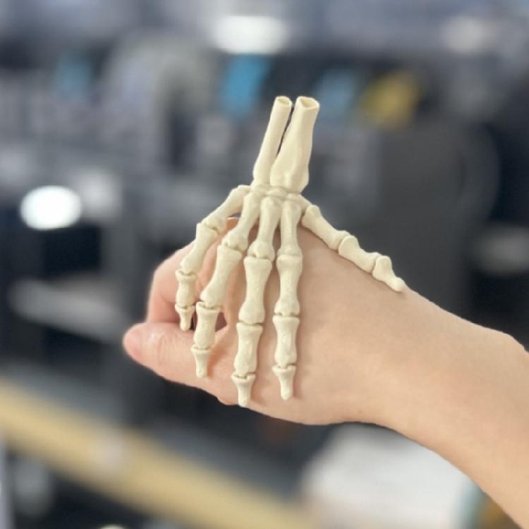 Detailed Skull Hand Model  With  Component Halloween Ornament For Adults And Kids Home