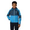 Regatta Childrens/Kids Acidity VI Lightweight Soft Shell Jacket