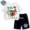 Children's Summer Beach Clothing Boys' Two-Piece Set Short-Sleeve Top and Shorts Casual Outfit