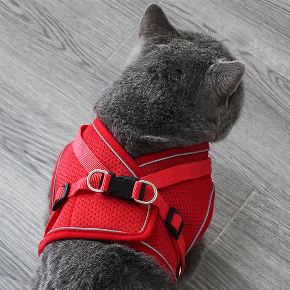 Oem Verstellbares Anti-Ausbruch Westengeschirr Atmungsaktive Welpenleinen Kätzchen Haustier Zubehör Für Outdoor Camping Bequemes Halsband Leine