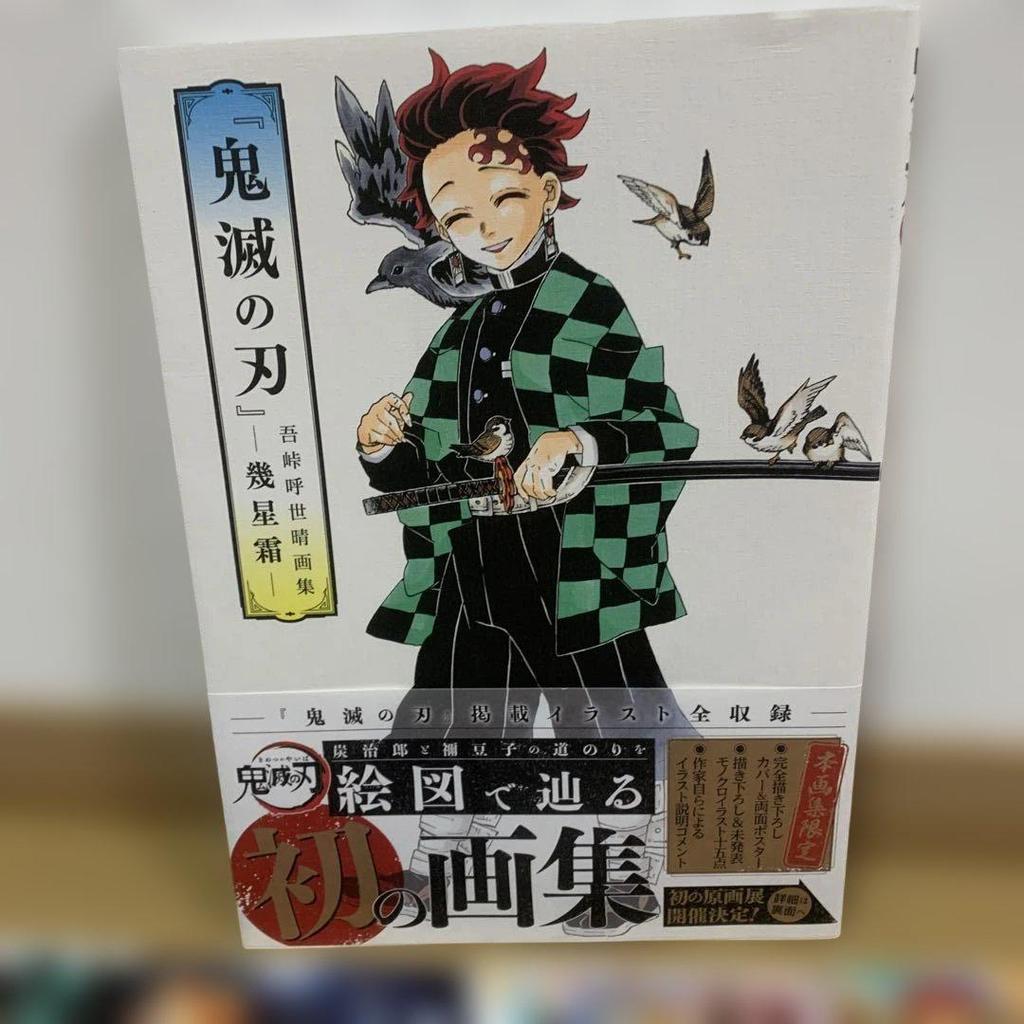 [USED] Demon Slayer: Kimetsu no Yaiba 11-volume set including official fan book, character book, and novel