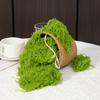 Umělý mech pro pokojové rostliny Realistický falešný zelený mech pro kutilské řemesla Terárium Vílí zahrada Středový díl stolu Svatba Ozdoba na párty