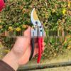 Multifunctional SK5 Garden Pruning Shears: Sharp, Labor-Saving Scissors for Fruit Trees and Plants.