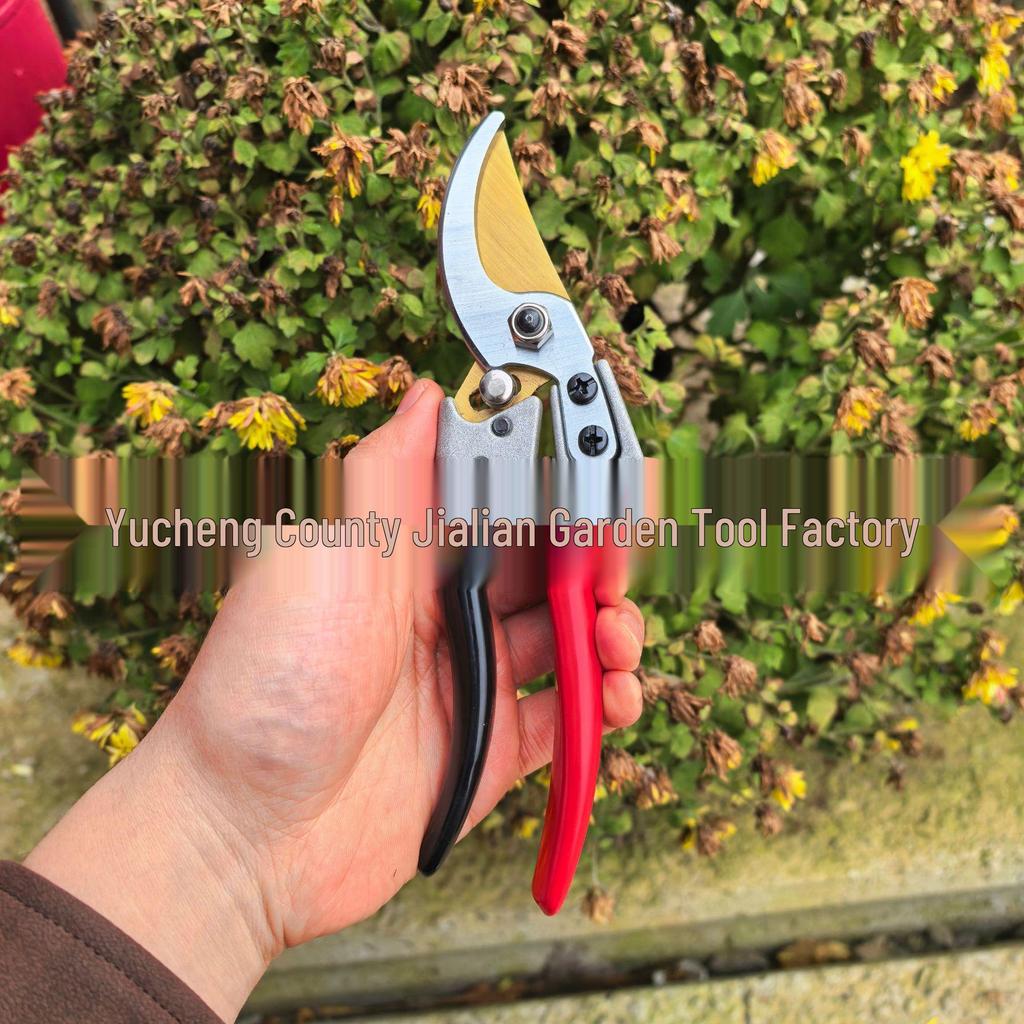 Multifunctional SK5 Garden Pruning Shears: Sharp, Labor-Saving Scissors for Fruit Trees and Plants.