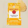 BURT’S BEES Conditioning Lip Scrub