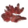 Yousheng 50Pcs Guineahen Feathers Natural Chicken Tail Feathers Bright Colors 4.5-10cm Feathers for Crafts DIY Earrings Dream Catcher Wedding Easter