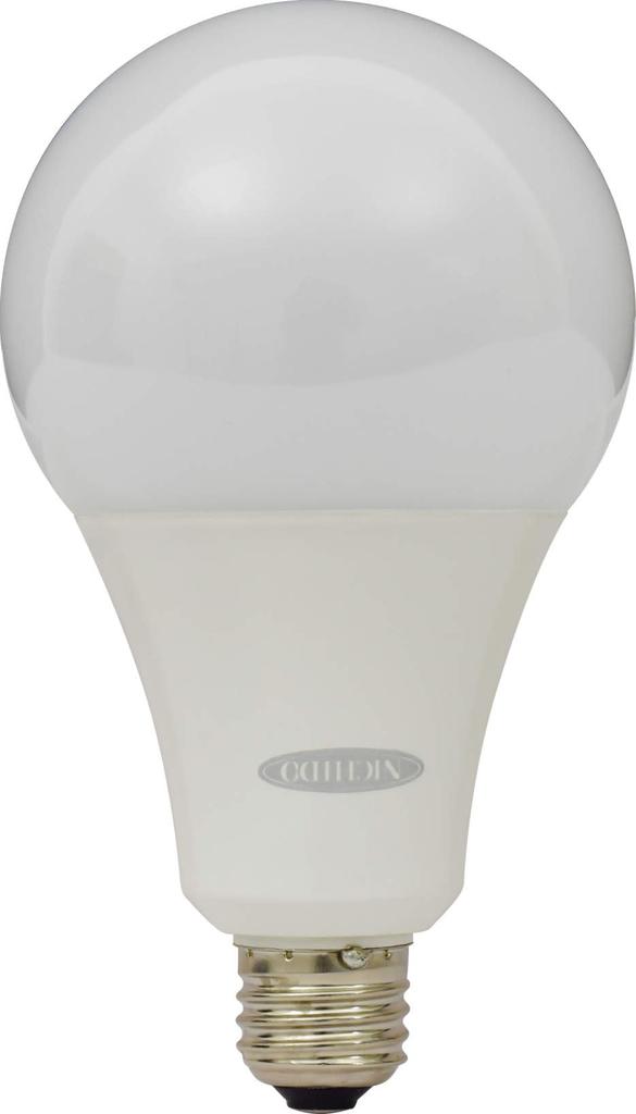 Nichido Industrial LED Bulb, 22W, Frost, LFC-22W-50K