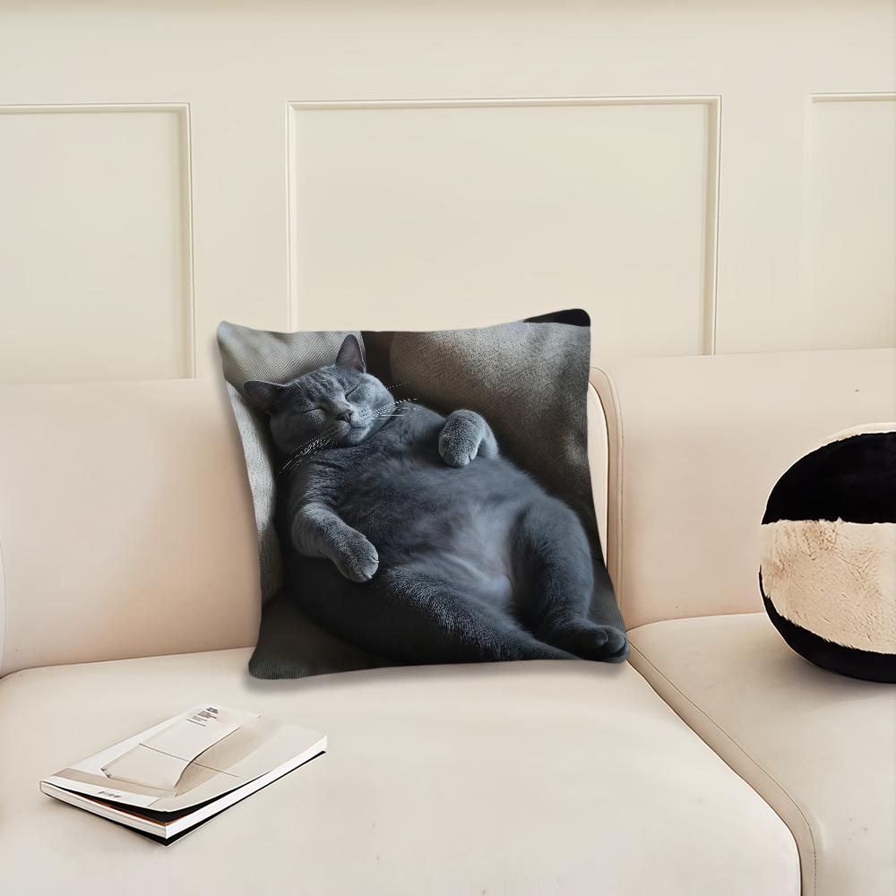 Funny cat cute sleep cushion cover Pillow Cover Decoration Room Home Sofa living Office Car Nordic Simplicity