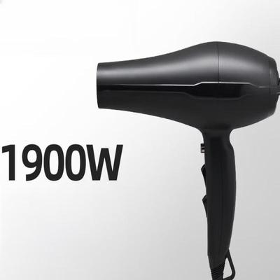 LISM High-Speed Ionic Hair Dryer