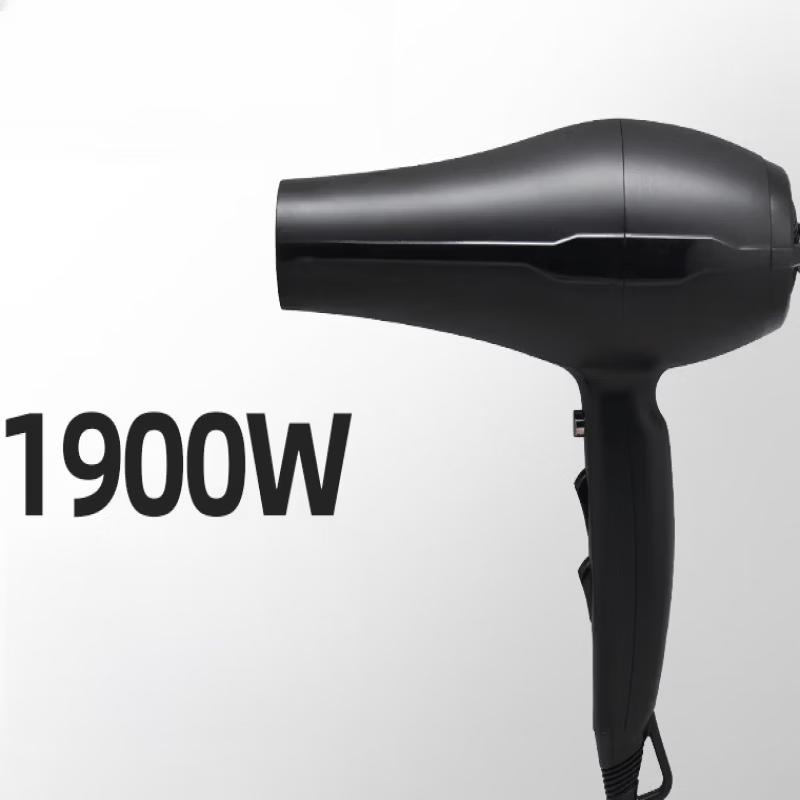 LISM High-Speed Ionic Hair Dryer