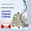 High-Power Multifunctional Vertical Steam Iron with Large Capacity