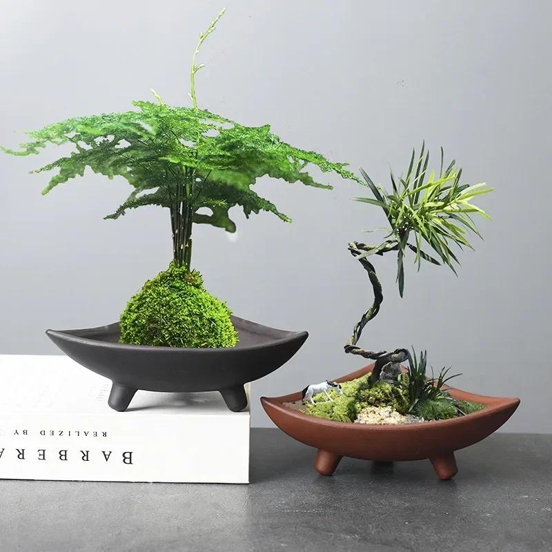 Personalized Ceramic Flower Pots for Bamboo Indoor Micro Landscape Plants Purple Clay Pot Decoration