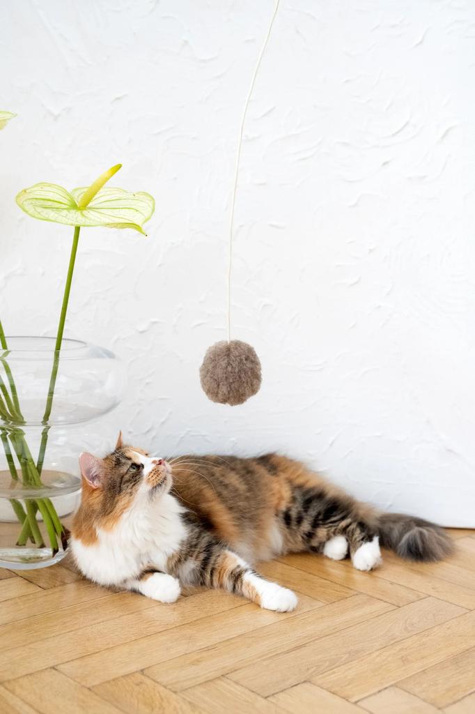 Natural Woolen Cat Toy: Ball String / Beige