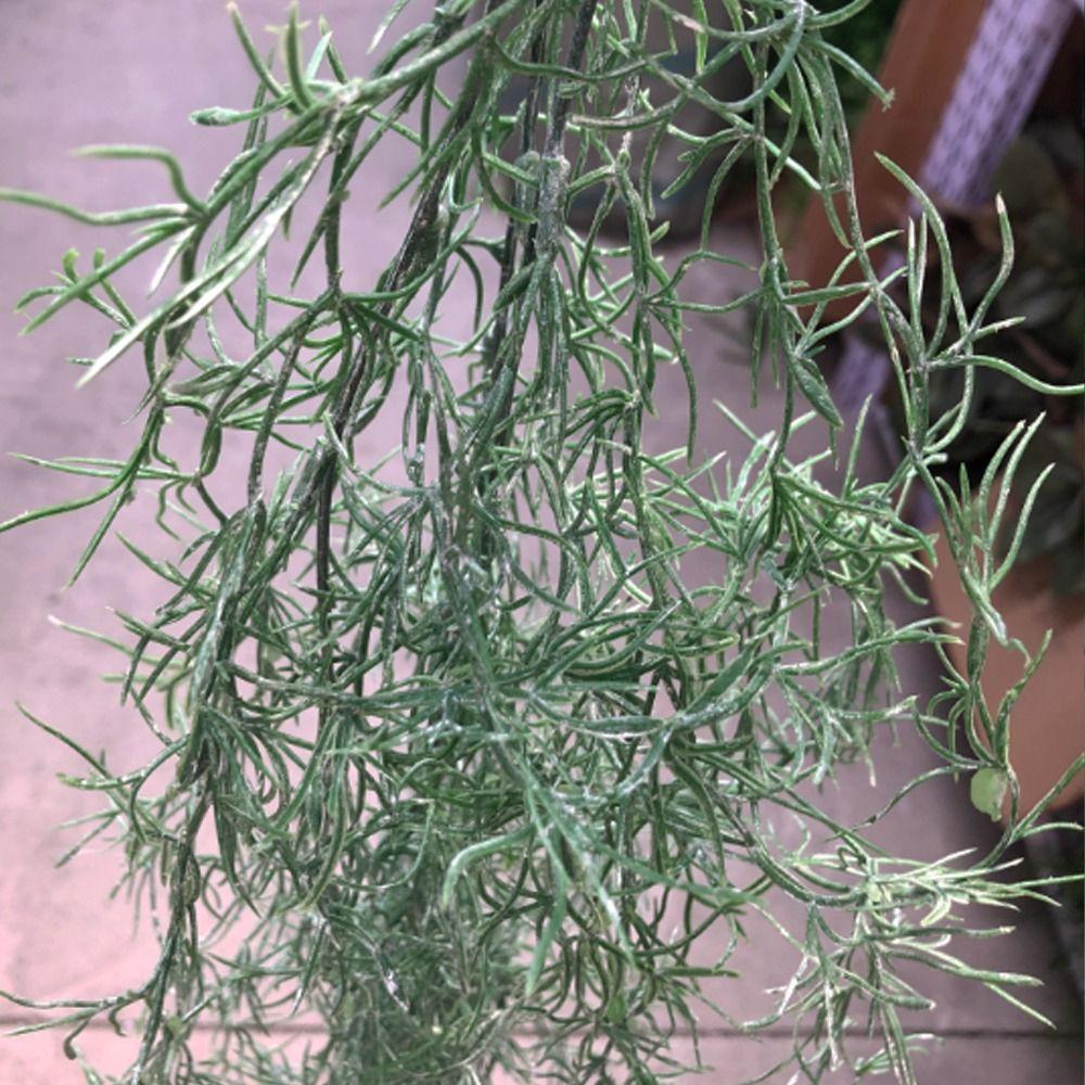 Elegant Artificial Boston Fern Vines Plastic Fake Greenery Plastic  Wedding Decor