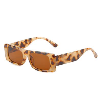 Occhiali e accessori – Occhiali da sole