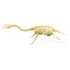 7 Pieces Plastic Dinosaur Skeleton Toys Figures Carfts Collection Educational Gift