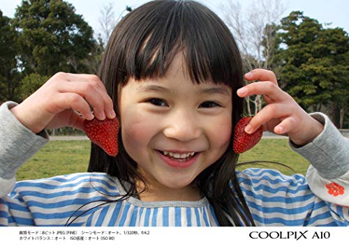 Nikon Digital Camera COOLPIX A10 Silver Optical 5x Zoom 16.14 Megapixels [Battery Type] A10SL