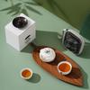 Panda Portable Ceramic Travel Tea Set