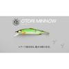 Jackall Otori Mino 138 RT Moriayu 138mm