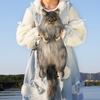 High Quality Simulation Fluffy Pet Backpack Soft Skin Friendly Black Maine Coon Cat Backpack for Young People Daily Use