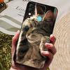 Für Tecno Spark 8 Hülle 8C Silikon Rückabdeckung Handyhülle für Tecno Spark 8 8P 8C Spark8 P Hüllen Spark8P Weicher Stoßfänger coque Fundas