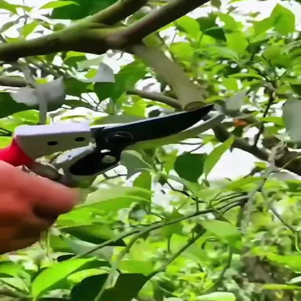 Handheld Fruit Branch Pruning Shears Multifunctional Garden Trimming Tool Durable Gardening Tools