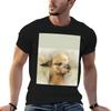 Epic Alpaca TShirt Large Size Casual Short Sleeve Top