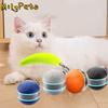 USB Rechargeable Interactive Cat Toy Ball Rotating Bite Resistant Cat Interactive Ball Anti-Depression with Tail