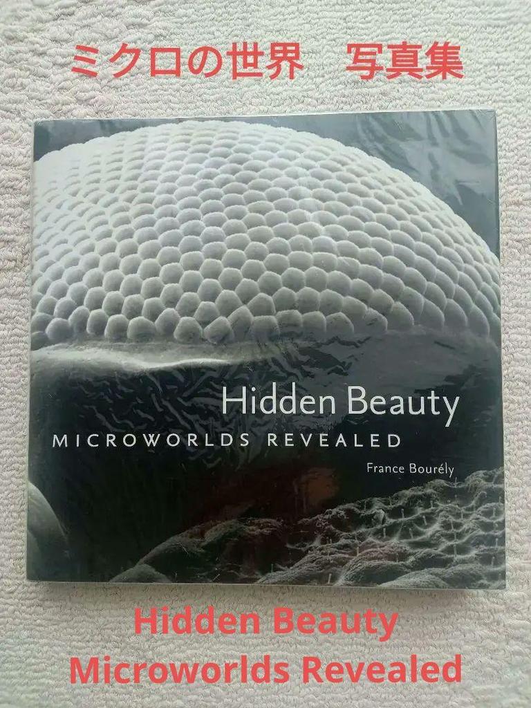 [USED] Photobook: Hidden Beauty Microworlds Revealed