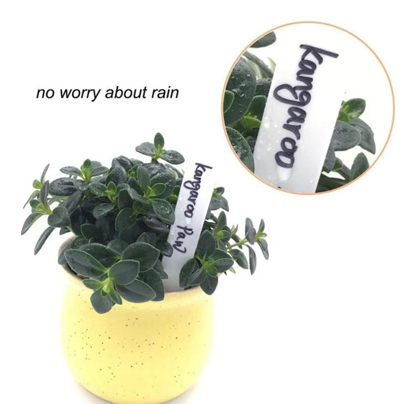 Succulent Plant Label1003D Ground Insert Waterproof Sun Protection Label SignDIYPlanting Tools Gardening Supplies