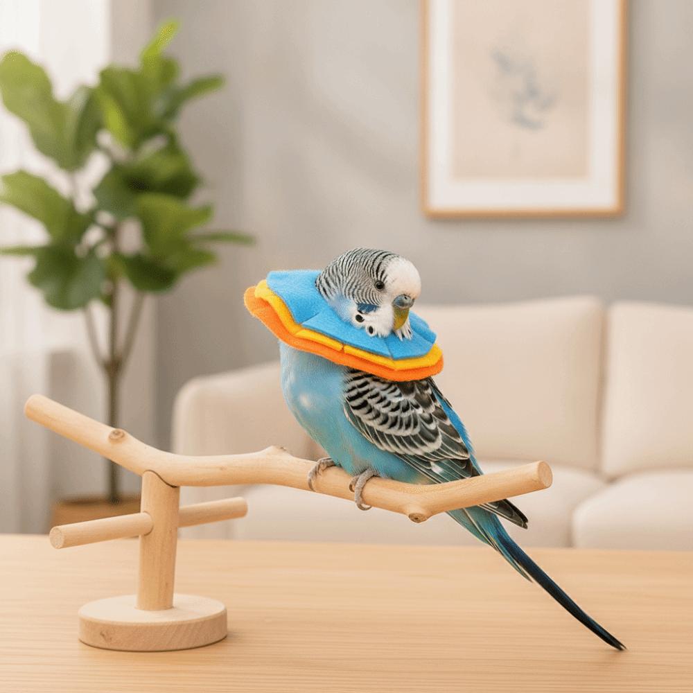 Comfortable Parrot Elizabethan Collar Anti-Bite Parrot Recovery Cone  for Small Cats