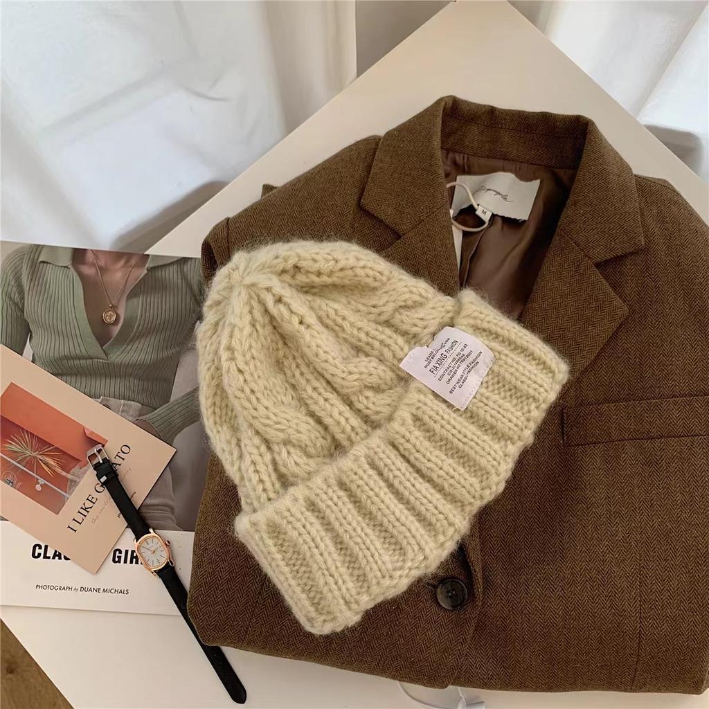 Bear Ear Knitted Hat In Autumn and Winter Cute Face Showing Small Japanese Versatile Warm Ear Protection Student Wool Hat