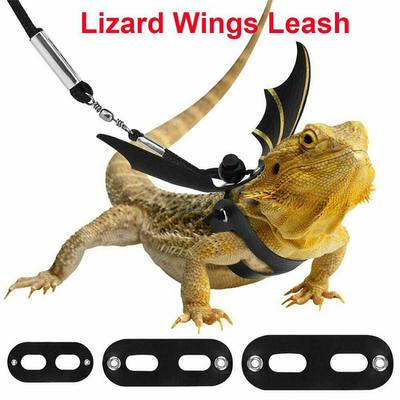 Lizard Leash Reptile Harness for Outdoor Pet Chameleon Squirrel Supplies