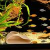 Single Hole Under Gravel Tunnel 3D Printing Shrimp Cave Aquarium Tunnel Cave  Fish Tank Decoration