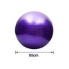 Exercise Ball Extra Thick Yoga Ball Chair for Office & Home & Gym