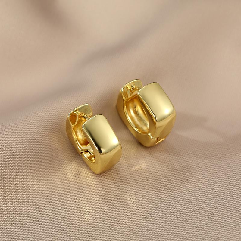 Stainless Steel Square Circle Earrings For Women  Gold Plated Zircon Hoop Earrings Trendy Aesthetic Jewelry Wedding Gift