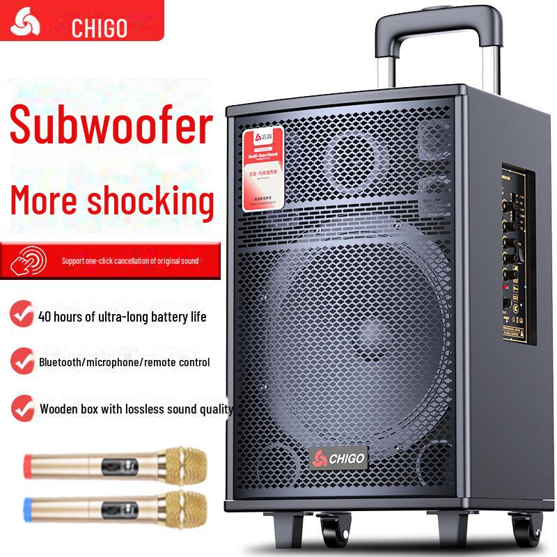 Chigo High-Power Outdoor Bluetooth Trolley Speaker for Music & Karaoke