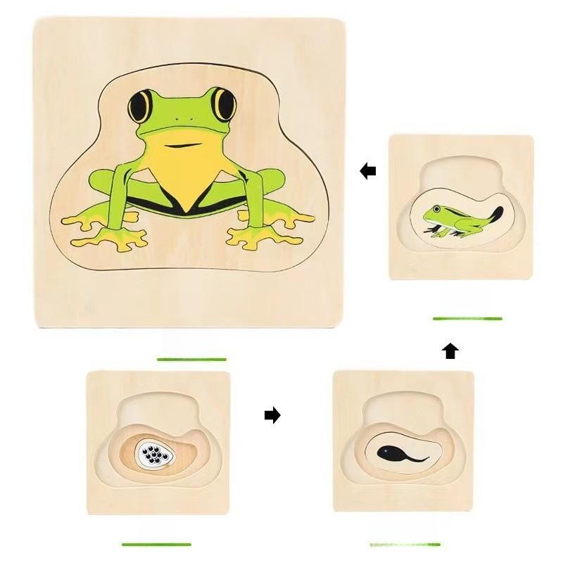 Children 3d Wooden Body Parts Puzzle Toy Anatomy Recognition Brain Development