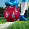 Trabzonspor FC Soccer Ball, Colorful, Suitable for All Ages, Machine-stitched, PVC Material, Competition Grade, Durable and High Bounce