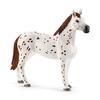 Schleich Horse Club Appaloosa Horse Training Set Figure 42433